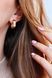 Lever Back Earrings in 14K/585 Rose Gold with Cubic Zirconia