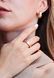 Lever Back Earrings in 14K/585 Rose Gold with Cubic Zirconia