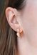 Lever Back Earrings in 14K/585 Rose Gold with Cubic Zirconia