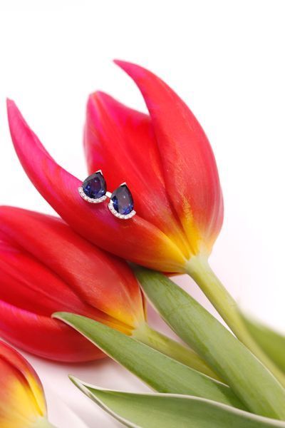 Stud Earrings in 14K/585 White Gold with Sapphires and Diamonds